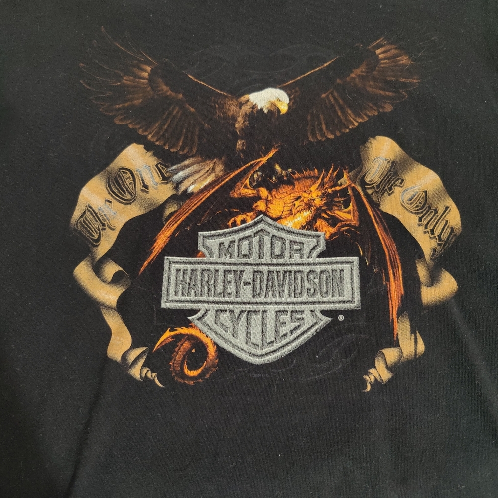01~The one The only~ Eagle Harley Davidson vintage tee shirt XL